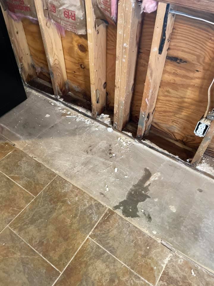 Cleaning up water damage, removing wall materials exposing wet floor plate and studs - Quillen Construction Group