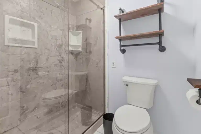 toilet with shelves above