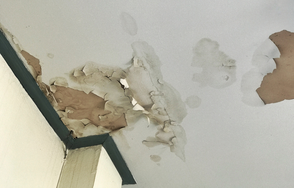 water damage restoration process