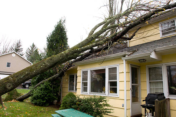 repair storm damage